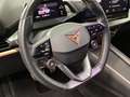CUPRA Born 360 ALLWETTER LM19 PRIVACY SITZHZ Weiß - thumbnail 9