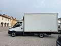Iveco Daily Bianco - thumbnail 2