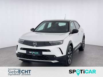 Mokka e Elegance*PDCh*RFK*AT*uvm