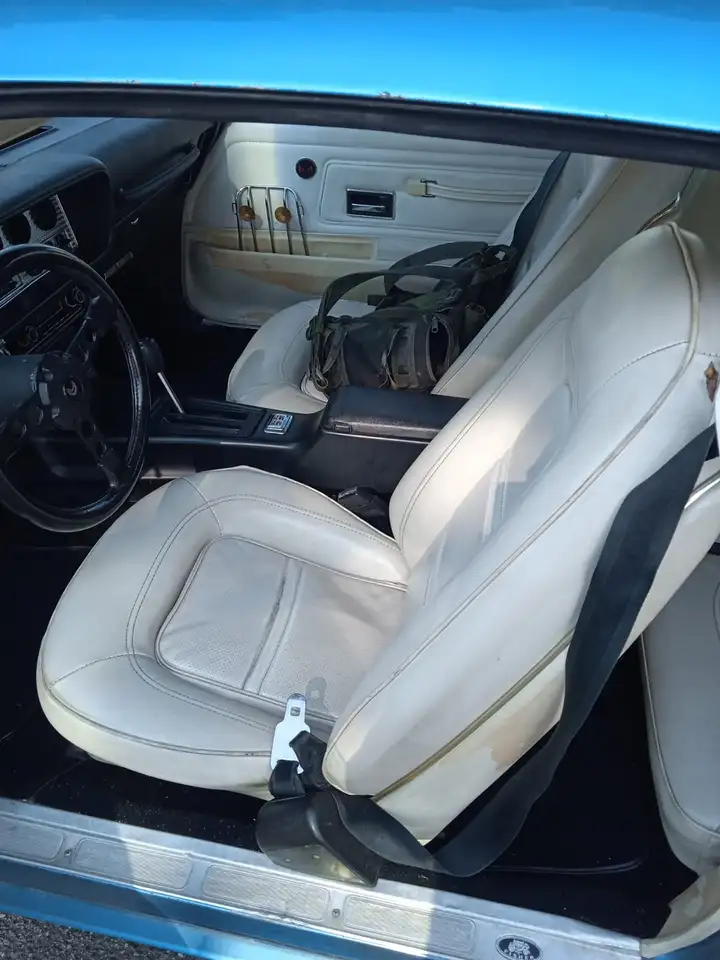 Pontiac Trans Am 455, foto 4