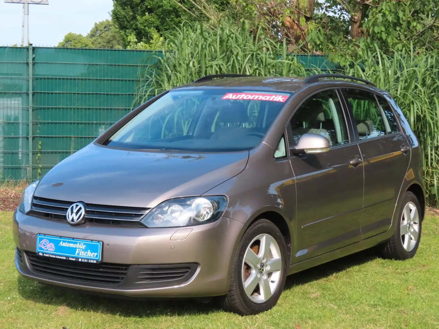 Volkswagen Golf Plus 1,4 Com.  42.800 Km  Rentnerfahrzeug!! Braun - 1