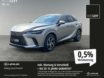 Plug-In Business *Vorlauf +div. Farben