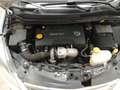 Opel Corsa 5p 1.3 cdti /AUTOCARRO N1-5 POSTI Bianco - thumbnail 13