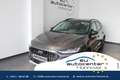Ford Focus Turnier 1.0 MHEV Active Navi Lenk/SHZ Pano Grau - thumbnail 1