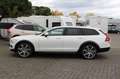 Volvo V90 Cross Country B4 AWD Ultimate +VOLL+BW+LUFT+ Weiß - thumbnail 4