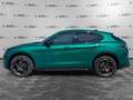 Alfa Romeo Stelvio Stelvio 2.2 Turbodiesel 210 CV AT8 Q4 INTENSA Verde - thumbnail 8