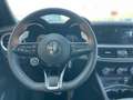 Alfa Romeo Stelvio Stelvio 2.2 Turbodiesel 210 CV AT8 Q4 INTENSA Verde - thumbnail 13