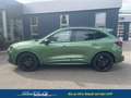 Ford Kuga ST-Line X 2.5 FHEV FWD 180 PS 132 kW (179 PS), ... Grün - thumbnail 2