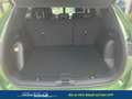Ford Kuga ST-Line X 2.5 FHEV FWD 180 PS 132 kW (179 PS), ... Grün - thumbnail 15