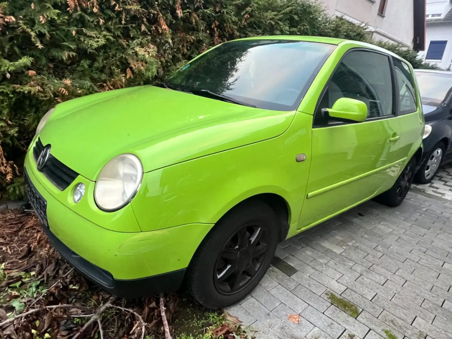 Volkswagen Lupo 1.4 Automatik Зелёный - 2
