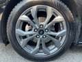 Ford Focus 1.5 EcoBlue 115 CV auto 5p. ST-Line #VARI COLORI Nero - thumbnail 22