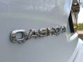 Nissan Qashqai 1.2 Tekna / 360 CAM / PANO / KEYLESS / LANE-ASS. / White - thumbnail 11