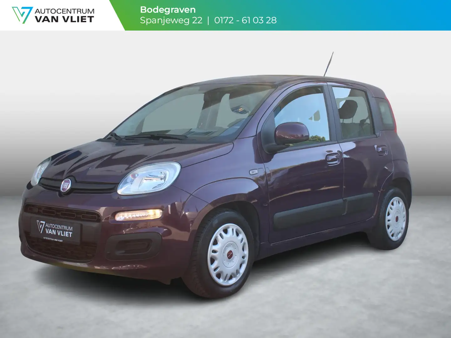 Fiat Panda 0.9 TwinAir Edizione Cool | 12 MAANDEN GARANTIE | Lila - 1