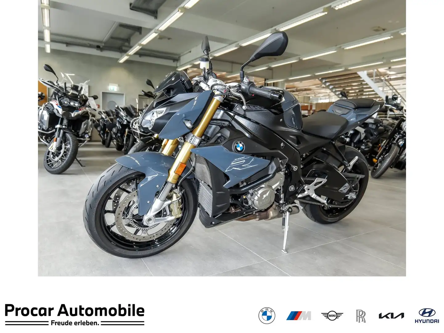 BMW S 1000 R Dynamik-Paket Grau - 1