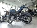 BMW S 1000 R Dynamik-Paket Grau - thumbnail 5