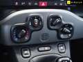 Fiat Panda 1.0 Gse City Live Hybrid Negro - thumbnail 14