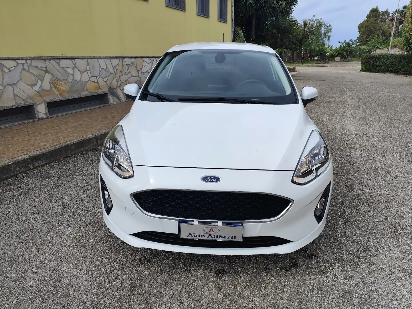 Ford Fiesta van 1.5 tdci Bianco - 1