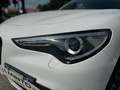 Alfa Romeo Stelvio 2.2 Turbodiesel 190 CV AT8 Q4 Sport-Tech Bianco - thumbnail 5
