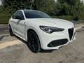 Alfa Romeo Stelvio 2.2 Turbodiesel 190 CV AT8 Q4 Sport-Tech Bianco - thumbnail 4
