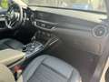 Alfa Romeo Stelvio 2.2 Turbodiesel 190 CV AT8 Q4 Sport-Tech Bianco - thumbnail 15