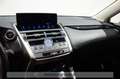 Lexus NX 300 h 2.5 Business 2wd cvt White - thumbnail 14