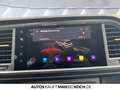CUPRA Ateca 1.5 TSI DSG PDC ACC LED DAB KESSY AHK Navi Gris - thumbnail 25