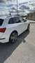 Audi SQ5 3.0TDI quattro Tiptronic 313 - thumbnail 5