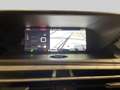 Citroen C4 SpaceTourer 1.2 PureTech 130pk S&S Shine 7-Pers. Automaat | Pa Gris - thumbnail 14