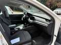 Skoda Octavia Octavia Combi 2.0TDI Active 85kW Active Blanco - thumbnail 7