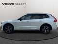 Volvo XC60 T6 Plus Dark / Hybride Blanc - thumbnail 4