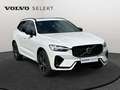Volvo XC60 T6 Plus Dark / Hybride Blanc - thumbnail 8