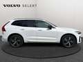 Volvo XC60 T6 Plus Dark / Hybride Blanc - thumbnail 27