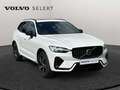 Volvo XC60 T6 Plus Dark / Hybride Blanc - thumbnail 28