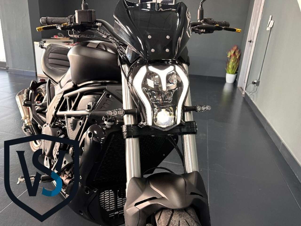 Benelli 502C 2024