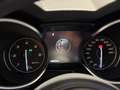 Alfa Romeo Stelvio 2.2 190 CV AT8 Q4 Business - PROMO Bianco - thumbnail 13