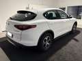 Alfa Romeo Stelvio 2.2 190 CV AT8 Q4 Business - PROMO Bianco - thumbnail 4