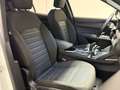 Alfa Romeo Stelvio 2.2 190 CV AT8 Q4 Business - PROMO Bianco - thumbnail 6
