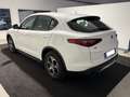 Alfa Romeo Stelvio 2.2 190 CV AT8 Q4 Business - PROMO Bianco - thumbnail 2