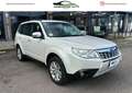 Subaru Forester Forester III 2009 2.0 XS Exclusive bi-fuel Blanc - thumbnail 1