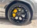 Lamborghini Urus Performante Gris - thumbnail 13