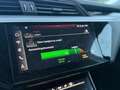 Audi e-tron advanced 50 quattro 230 kW Schwarz - thumbnail 26