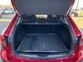 Mazda 6 2.5 194 AT EXCLUSIVE-LINE MATRIX BOSE 360 Rot - thumbnail 13