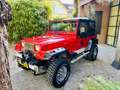 Jeep Wrangler unieke uitvoering / uitstekende staat / NL-auto - thumbnail 19