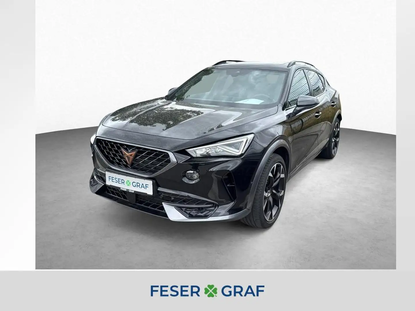 CUPRA Formentor VZ 1.4 e-Hybrid/FaPa XL/AHK/PANO - 1