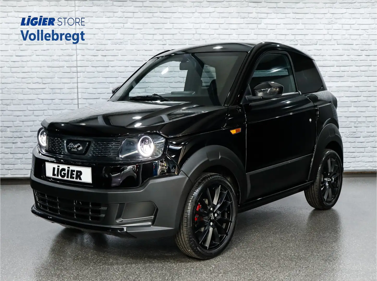 Ligier Myli R.EBEL GROOTSTE ACTIERADIUS ALLE MERKEN! 12 KWH DE Zwart - 1