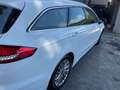 Ford Mondeo 2.0EcoBlue 150cv SW AUTOMATICA AUTOCARRO Bianco - thumbnail 10