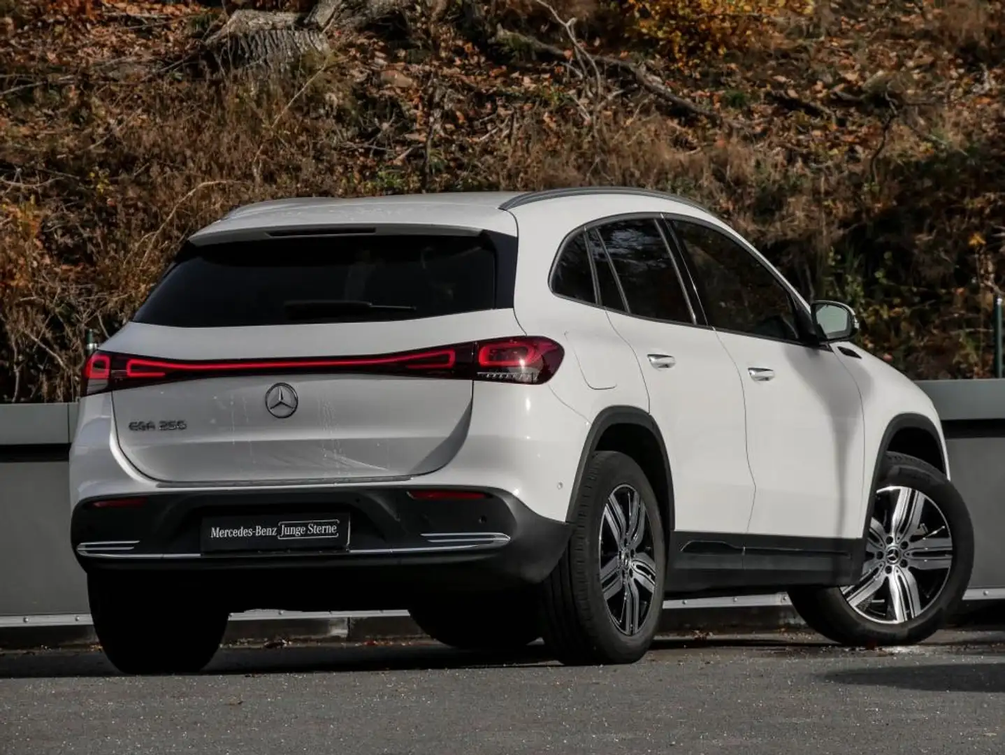 Mercedes-Benz EQA 250 Electr-Art/LED/360//Ambiente/Totw/Shz/18 Weiß - 2
