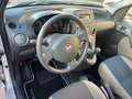 Fiat Panda 1.2 Emotion 60CV *NEOPATENTATI* Blanco - thumbnail 12