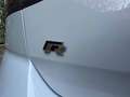 Volkswagen Golf tsi R 4motion dsg TELECAMERA POST TETTO APRIBILE Bianco - thumbnail 12