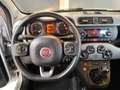 Fiat Panda 1.2 Pop s gpl Plateado - thumbnail 14